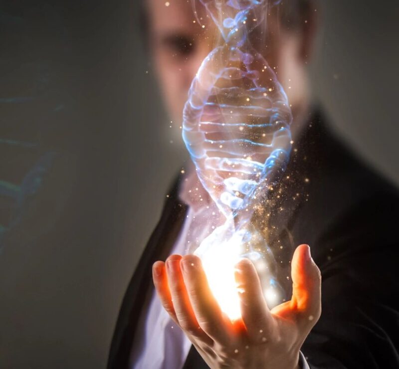 the evolution of DNA